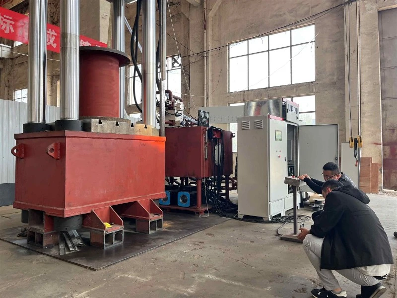 Turkish client inspects hydraulic press Turkish client inspects hydraulic press