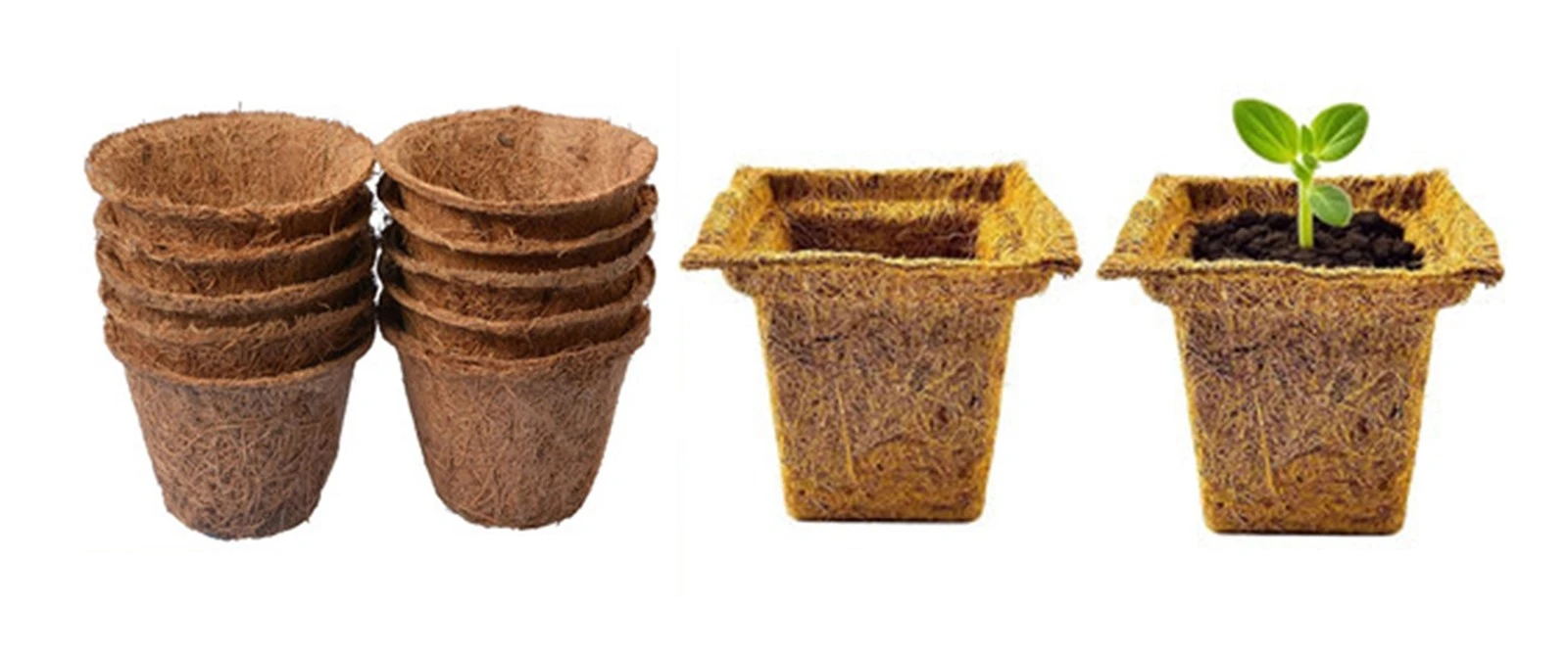 Compression molding of coir seedling cups Compression molding of coir seedling cups